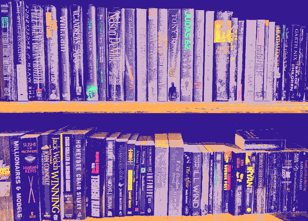 Books on shelves, filtered via dithering.
