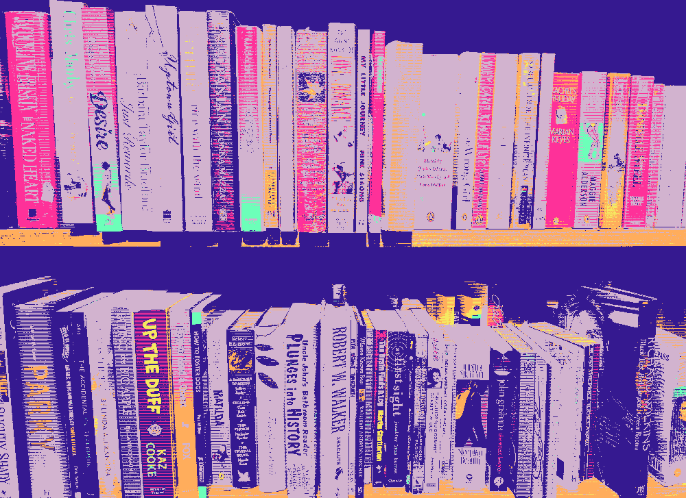 Books on shelves, filtered by dithering.